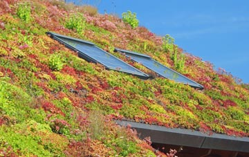 Nottington living roof systems